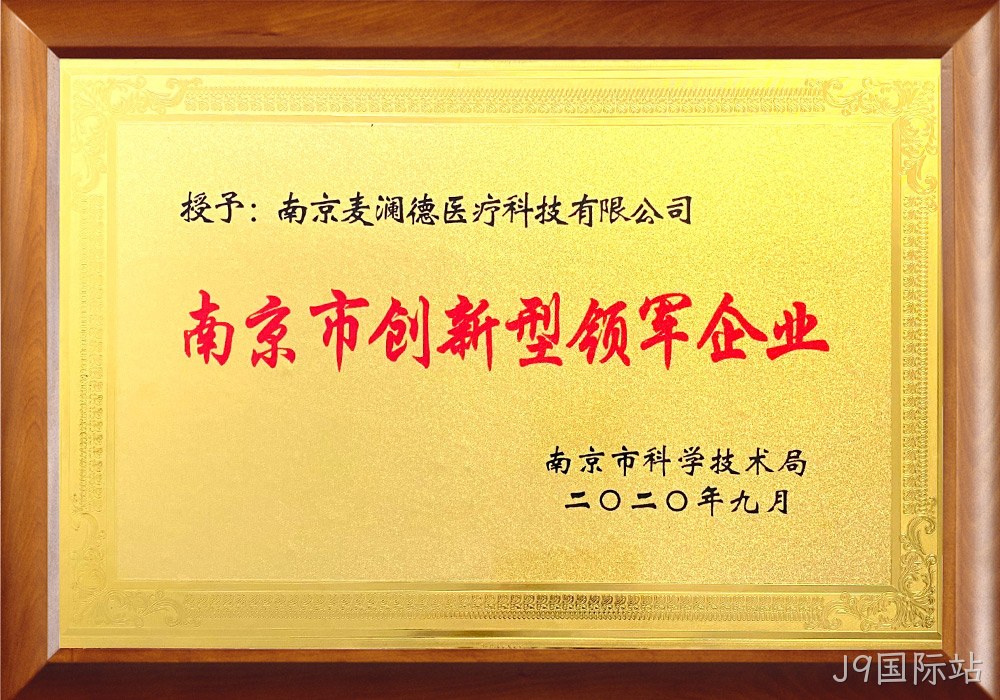 南京市创新型领军企业